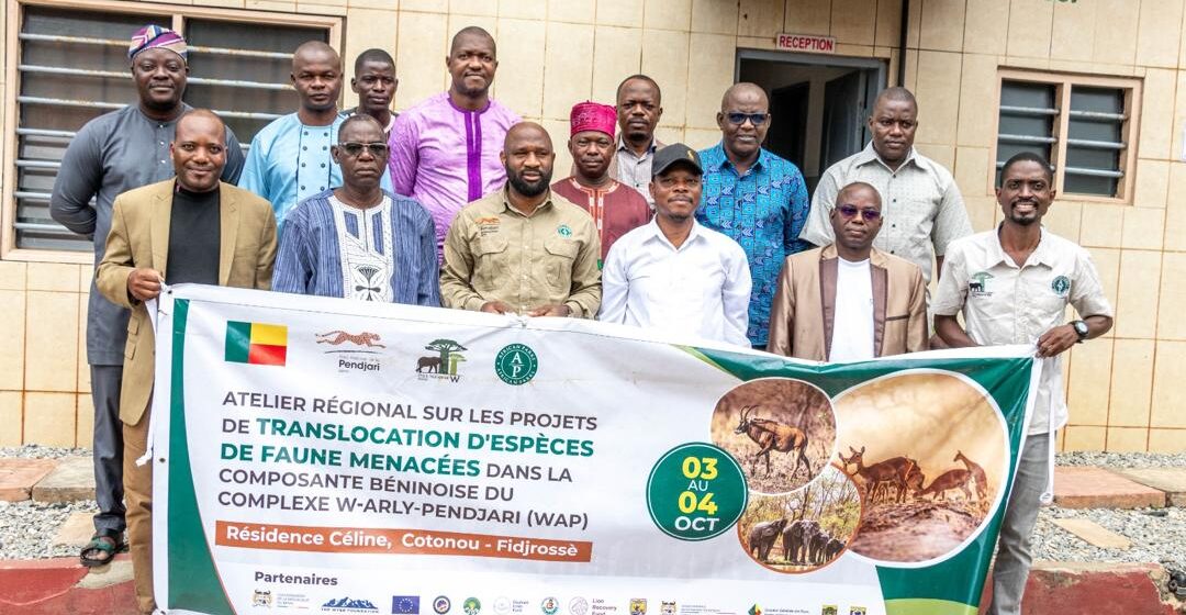 GESTION DES PARCS NATIONNAUX DU BENIN :  VERS LA REINTRODUCTION DE NOUVELLES ESPECES DE FAUNES MENACEES