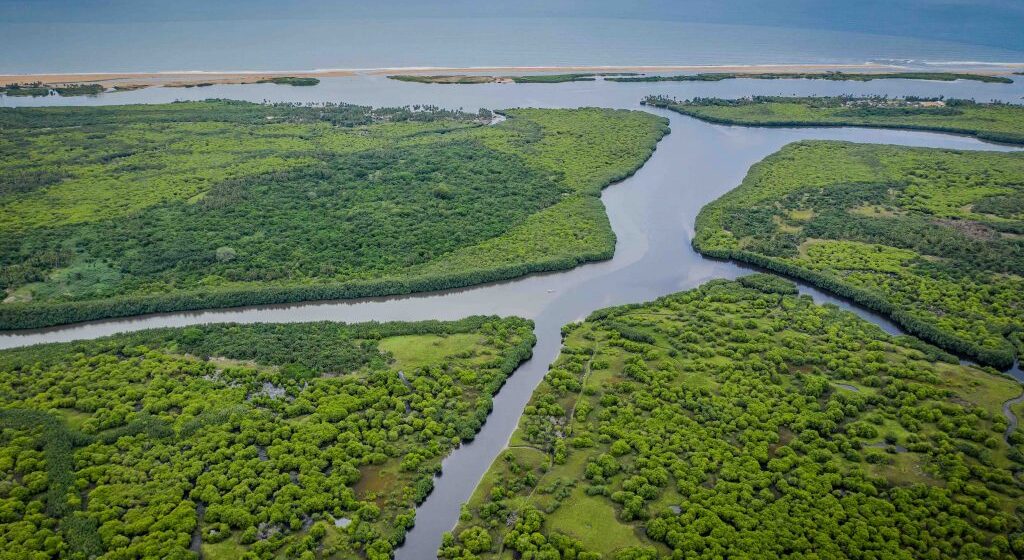 Grand-Popo célèbre la Journée Internationale pour la Conservation de l&rsquo;Écosystème de la Mangrove les 25 et 26 juillet 2025