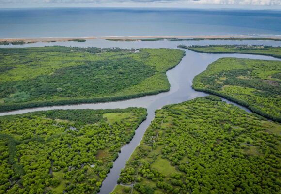 Grand-Popo célèbre la Journée Internationale pour la Conservation de l&rsquo;Écosystème de la Mangrove les 25 et 26 juillet 2025