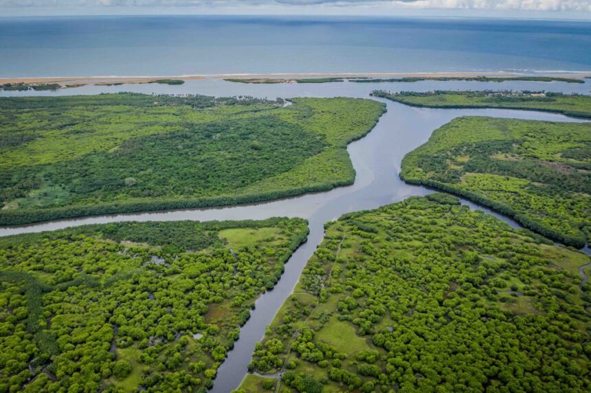 Grand-Popo célèbre la Journée Internationale pour la Conservation de l&rsquo;Écosystème de la Mangrove les 25 et 26 juillet 2025